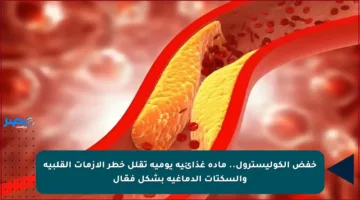 خفض الكوليسترول.. مادة غذائية يومية تقلل خطر الأزمات القلبية والسكتات الدماغية بشكل فعّال